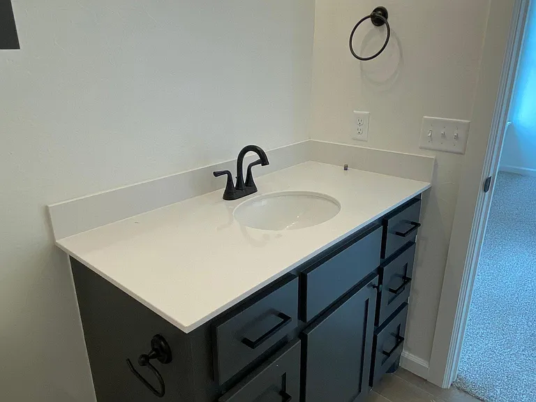 Primary bathroom vanity