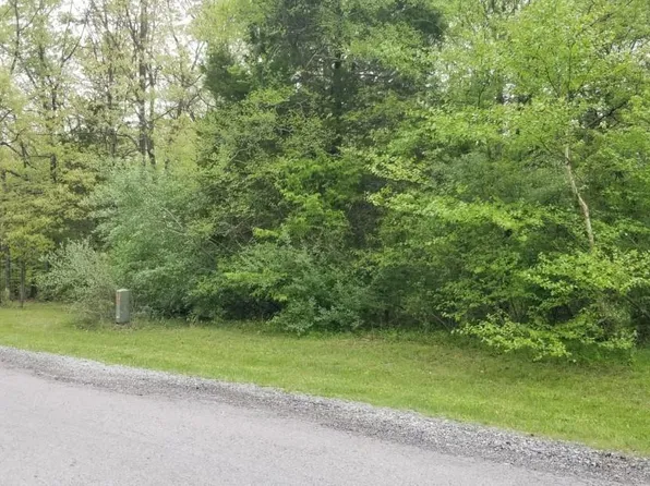 82 & 83 Saluki Way, Goreville, IL 62939