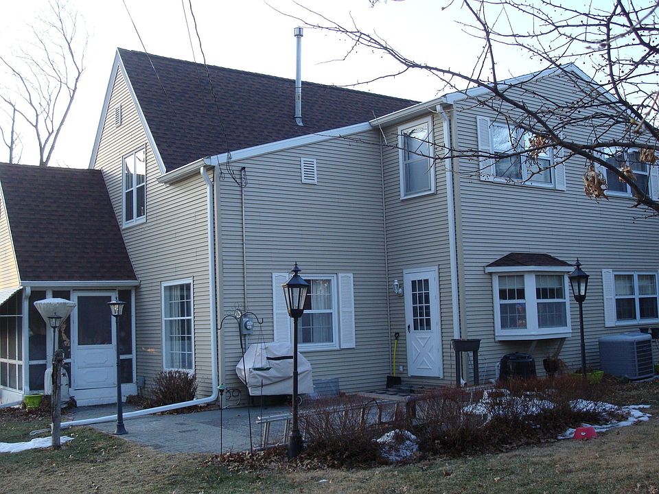 Back View