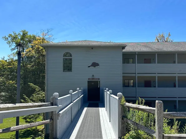 105 Ash Lodge Ct #105, Davis, WV 26260