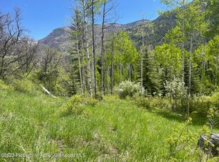 134 Bear Creek Ln, Redstone, CO 81623