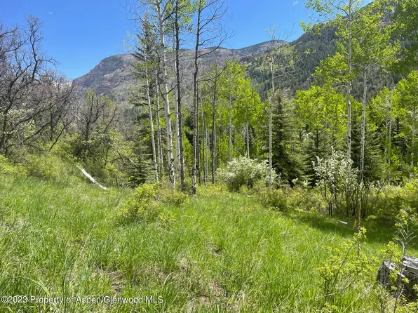 134 Bear Creek Ln, Redstone, CO 81623