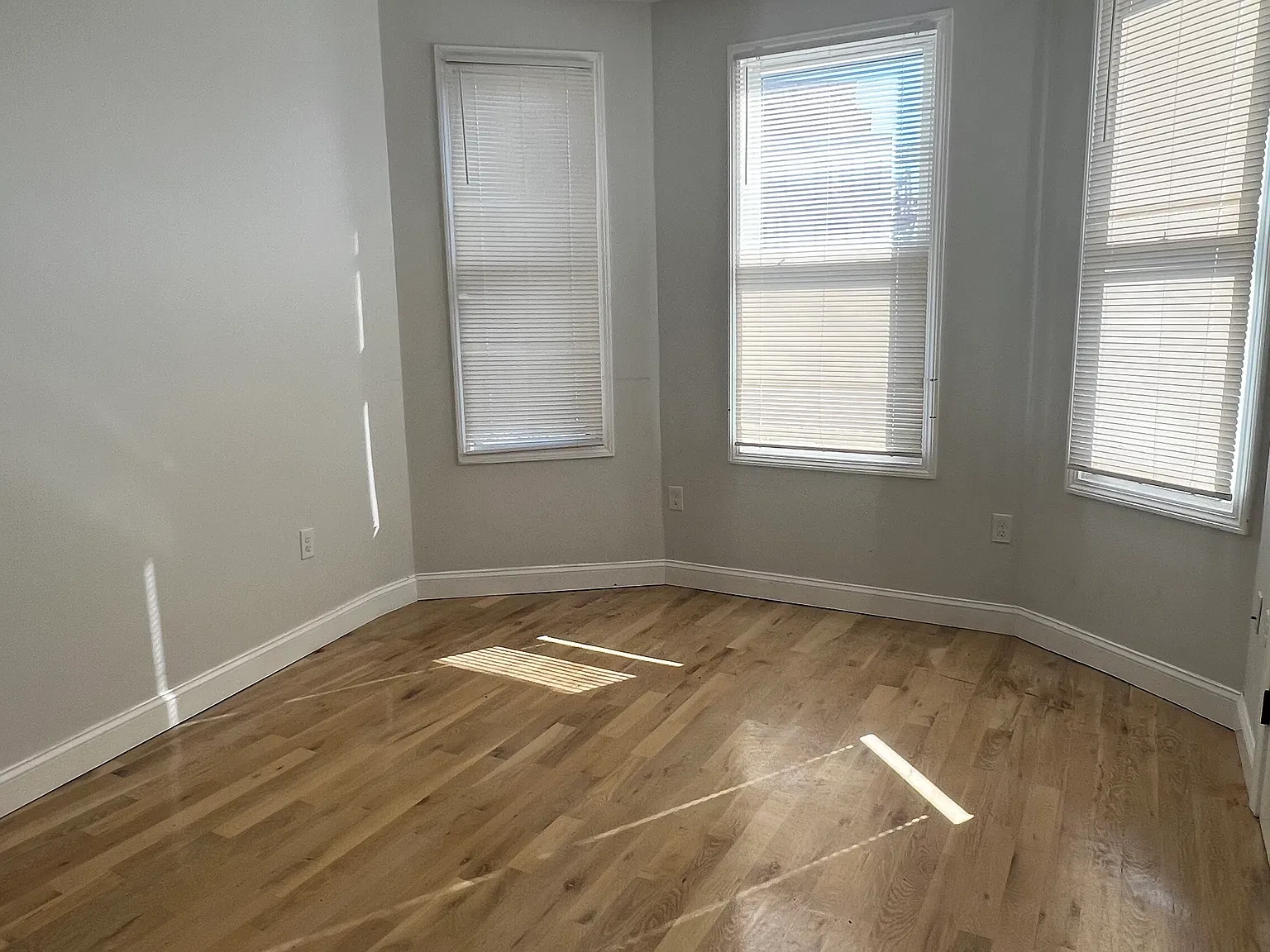 4 bed, 1.5 bath, $3,600 — Photo 3