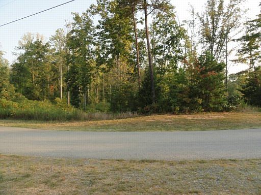 1st image of Pine St