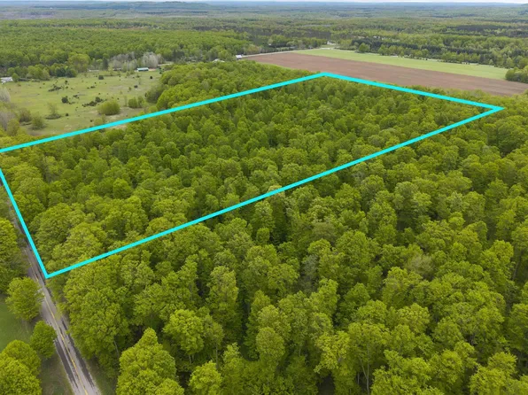 7641 Mick Rd, Benzonia, MI 49616