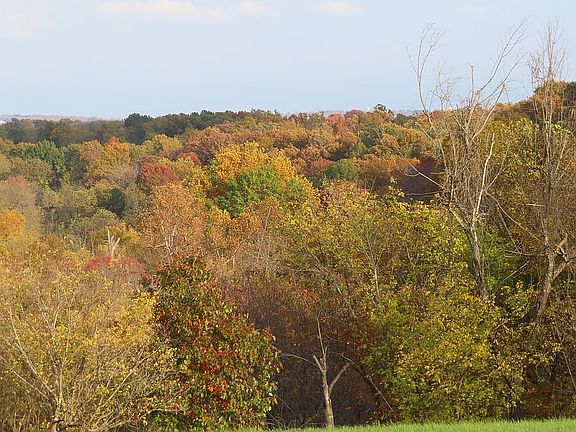 View from land