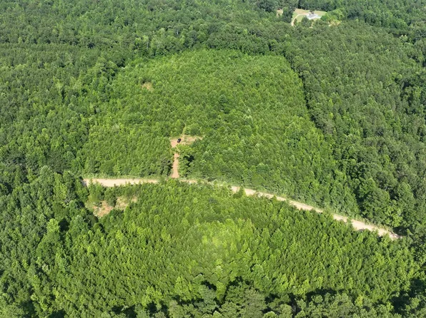 1 County Road 253 #0, Clanton, AL 35046