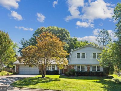 14009 Burning Bush Ln, Silver Spring, MD, 20906