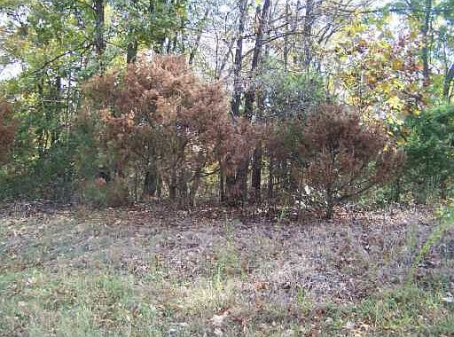 1st image of County Road 108 Rd