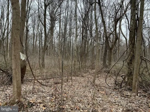 Main St, Whiteford, MD 21160