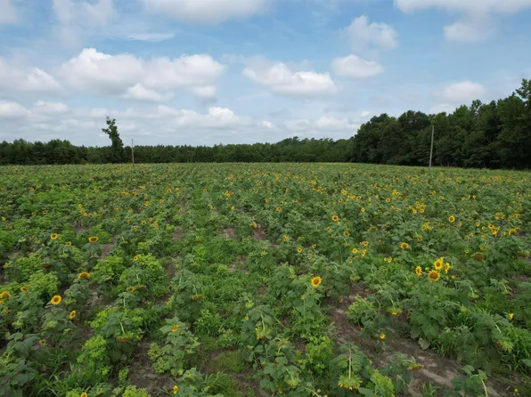 TBD Bert Hanna Rd., Johnsonville, SC 29555