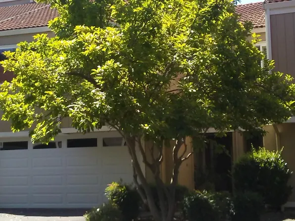 810 Tampico, Walnut Creek, CA 94598