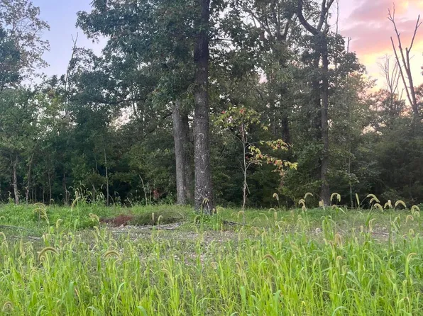 000 Coopers Road, Pineville, MO 64856