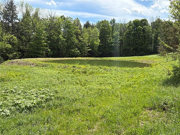 5th image of County Road 46 Lower Ravine Rd #10