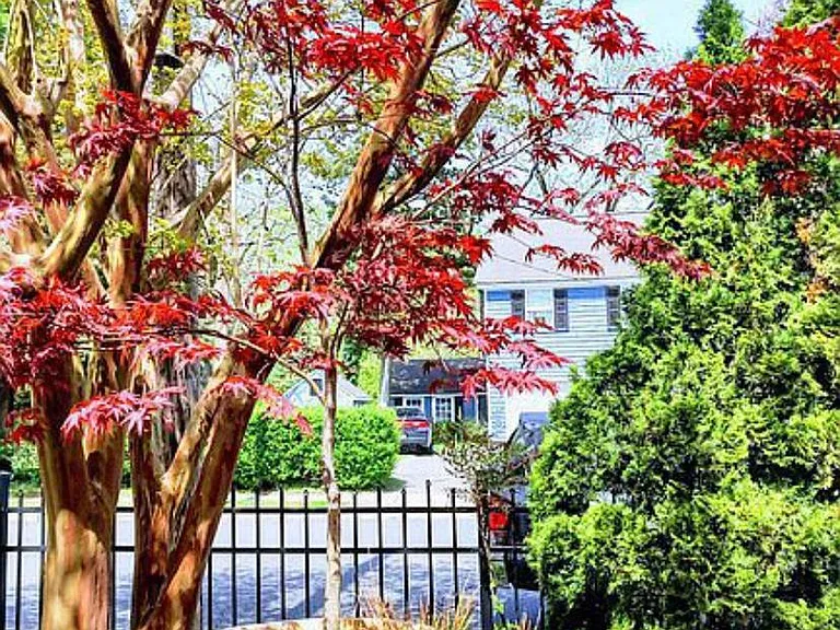 1 Romney Pl #A — Photo 51