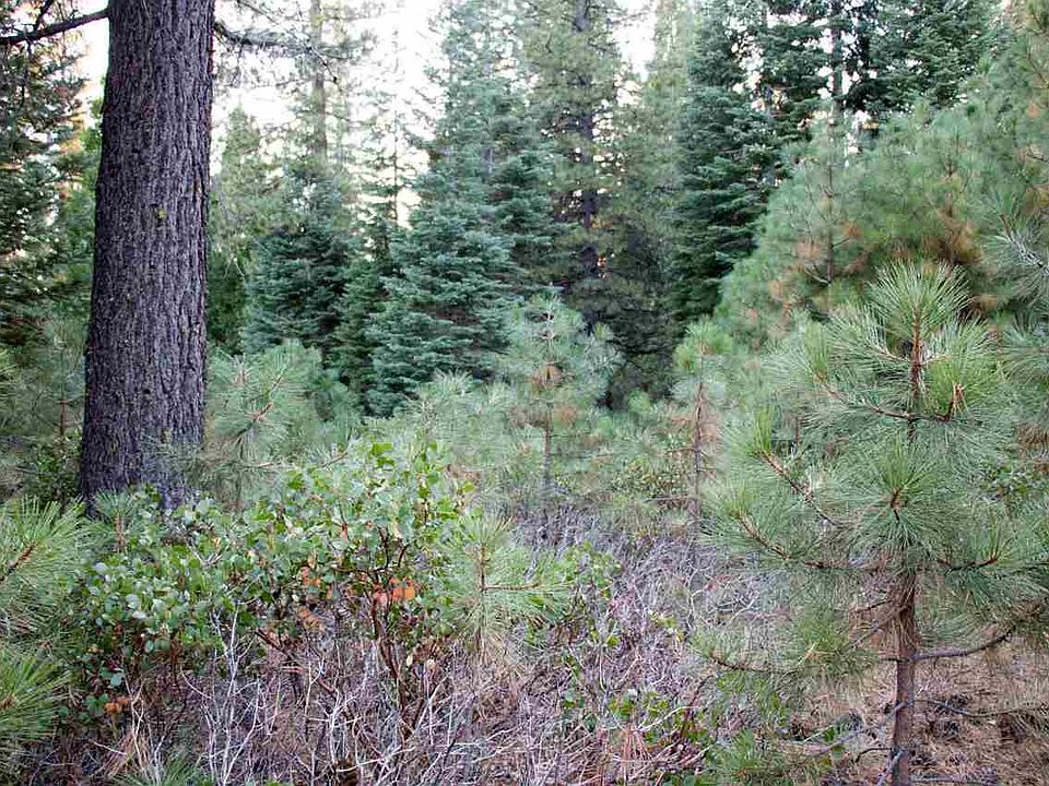 1st image of 34 Fox Peak Dr