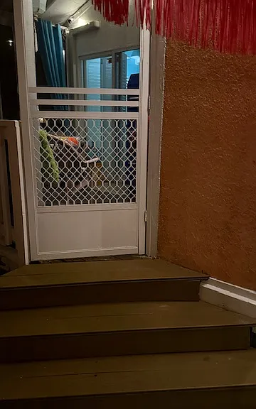 back screen door
