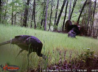 1725 Cherokee Gold Trl, Ball Ground, GA 30107