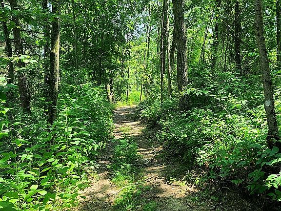 Golf Cart Trail Entrance