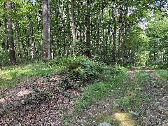 3rd image of 0 Briggs Rd Lot 33