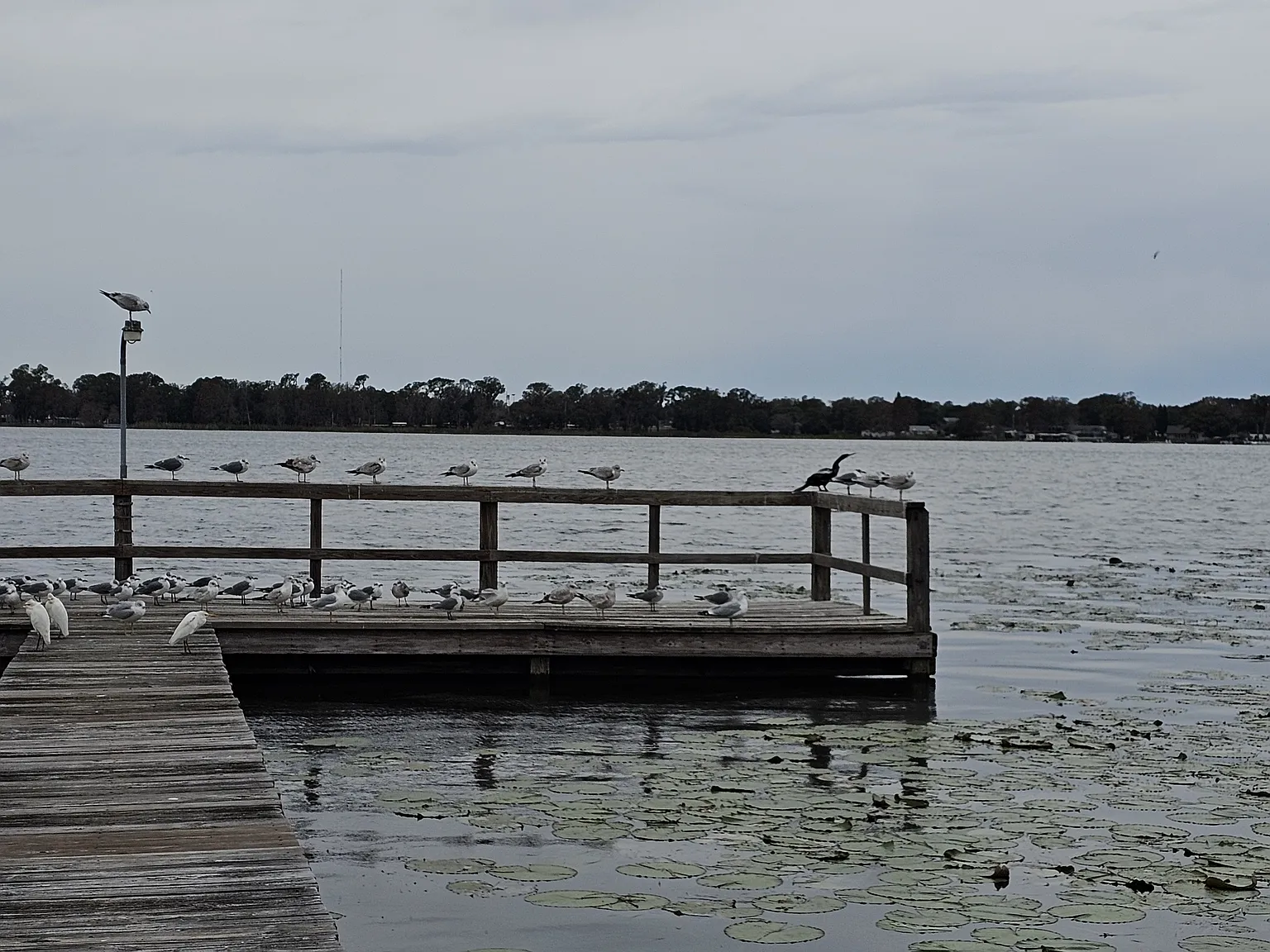 1 bed, $720 — Photo 2