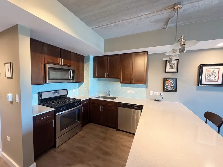 Gorgeous Historical Apartments Near Beach in East Rogers Park — Photo 72