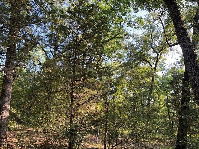 1st image of LOT 10 County Road 1429