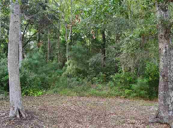 3rd image of Lot 124 Jerry Ct. Lot 124 Waccamaw Lakes