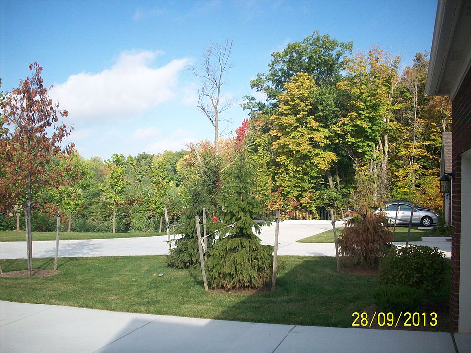 Looking out front window