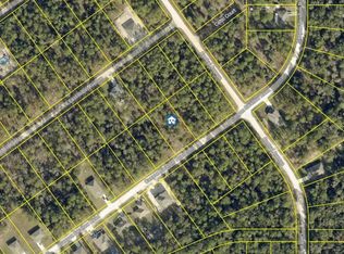 LOT 28 CANYON SWALLOW ROAD LOT 28, WEEKI WACHEE, FL 34614