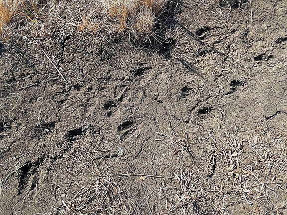 Photo Feb 14 2026 2 58 56 Pm