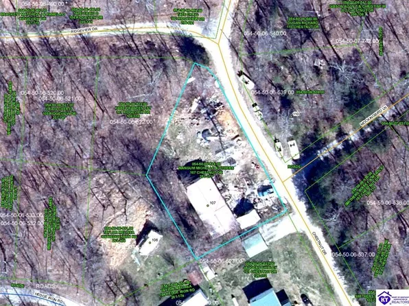 107 Chestnut Dr, Mammoth Cave, KY 42259