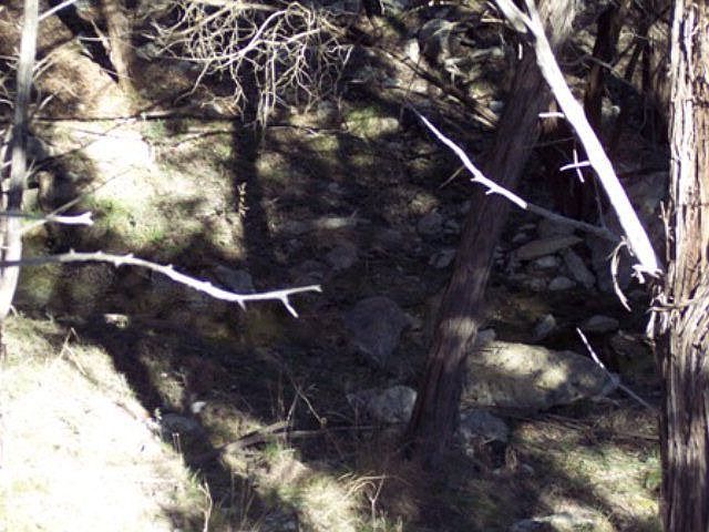 2nd image of 216 River Cliff Pl
