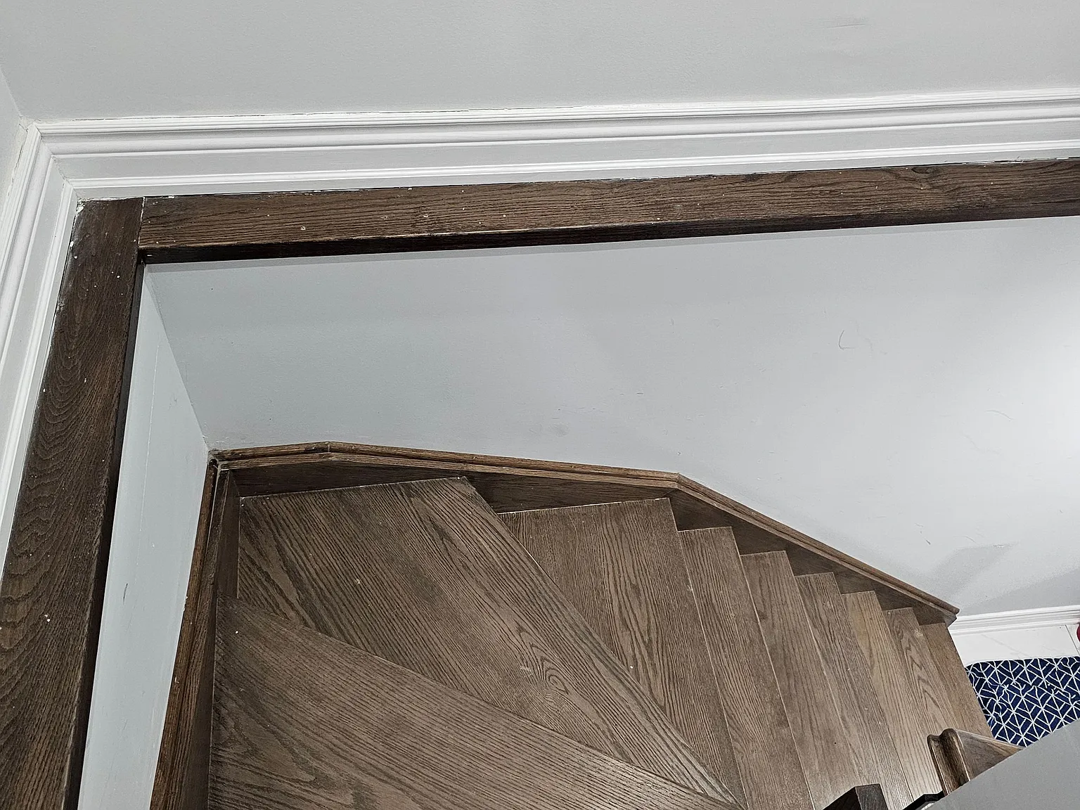 1 bed, $900 — Photo 4