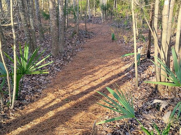 3rd image of 40 Alligator Creek Road