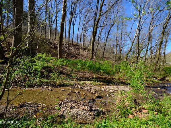 3212 Long Hollow Rd, Powell, TN 37849