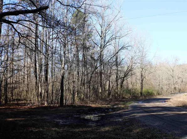 Plant Rd, Karnack, TX 75661
