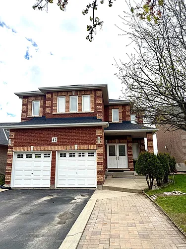 47 Wyman Cres #BASEMENT Photo 1
