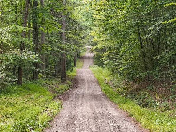 Chaffee Creek Rd, Newfield, NY 14867