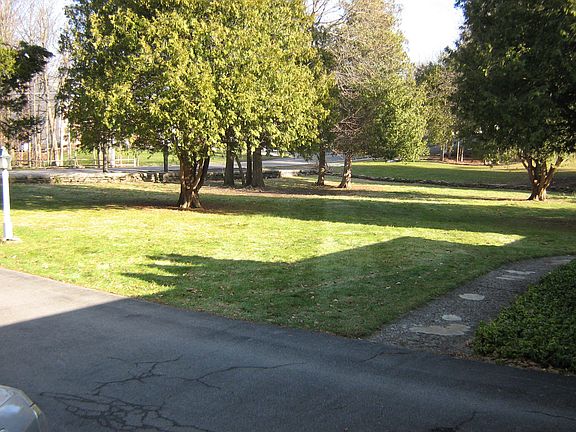 Frontyard