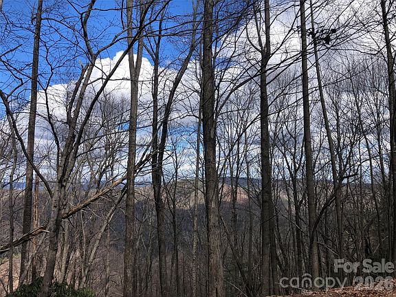 5th image of Bobcat Mountain Rd #21