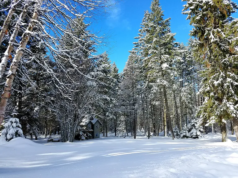 550 Snowberry Trl — Photo 18