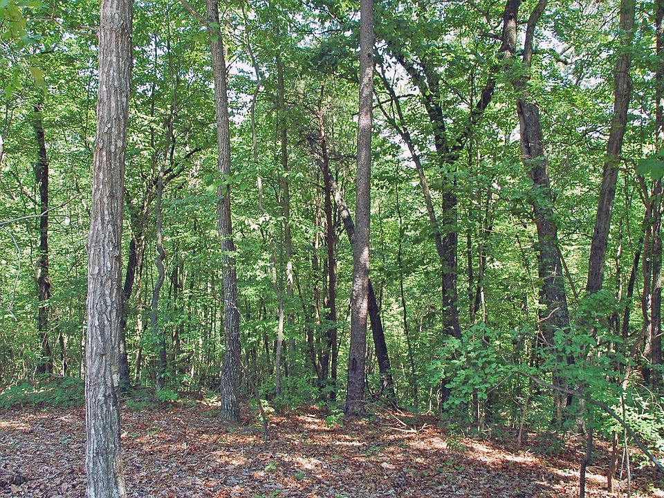 2nd image of 40 Timberwalk Drive