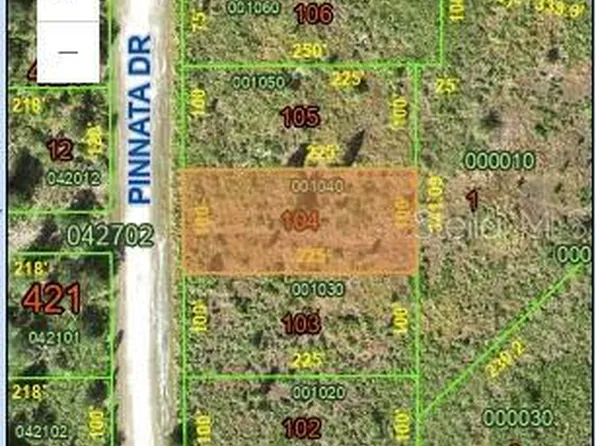 0 Pinnata Dr, Indian Lake Estates, FL 33855