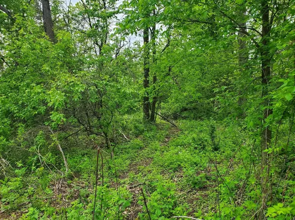 8.21 Ac Highway 82, Viroqua, WI 54665