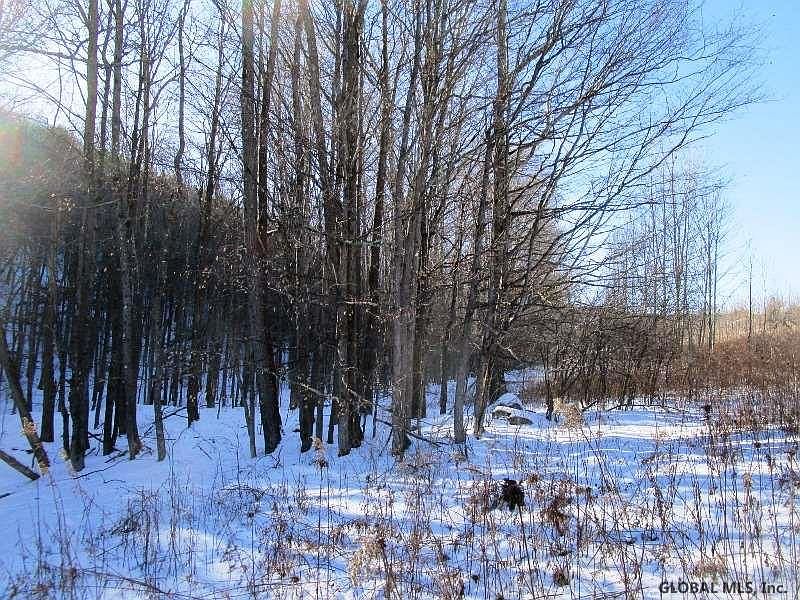 5th image of BERRY Lane
