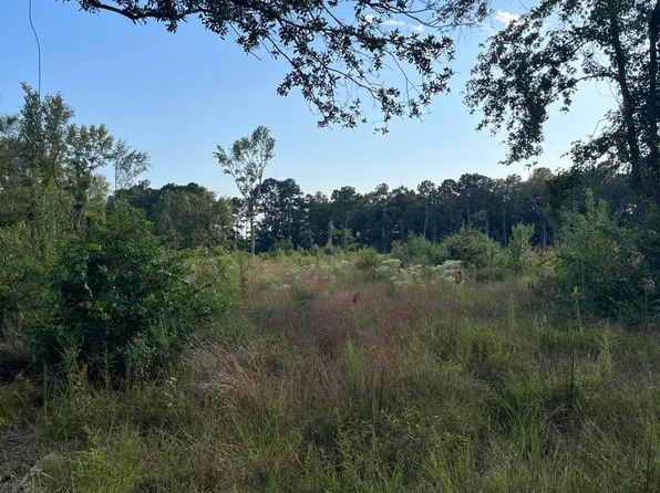 0 Yaremich Rd, Moncks Corner, SC 29461