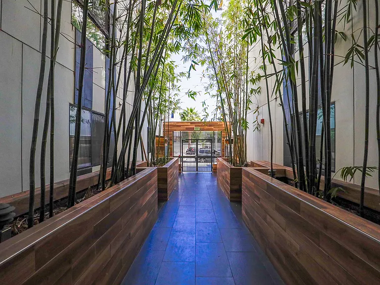Cole Grove Interior Lobby Courtyard