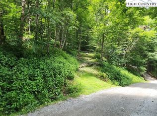 102 Maple Ln, Banner Elk, NC 28604