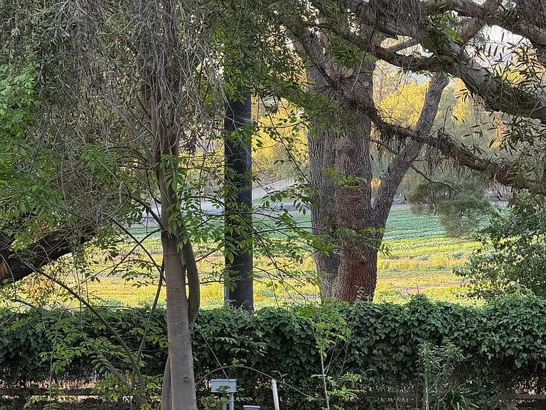 Read Rd — Photo 33